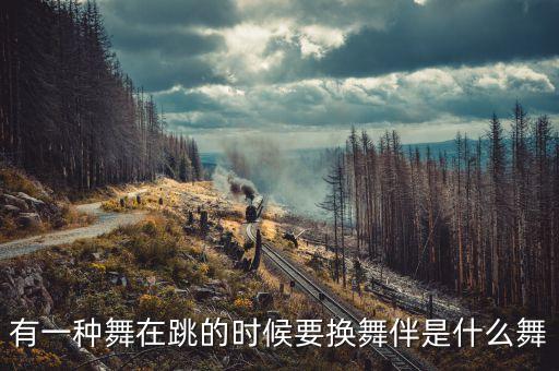 有一种舞在跳的时候要换舞伴是什么舞