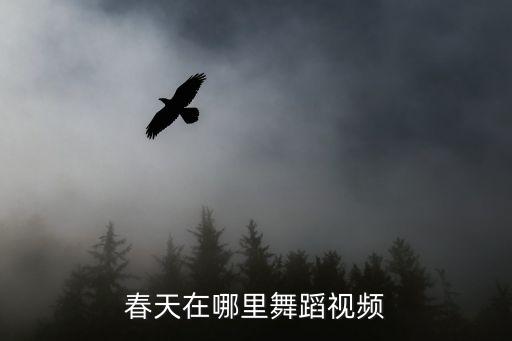春天在哪里舞蹈视频