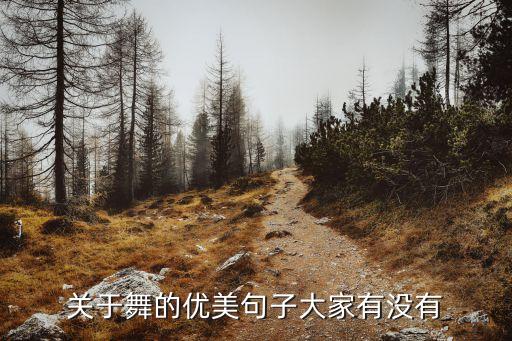舞蹈文案句子震撼，关于舞的优美句子大家有没有