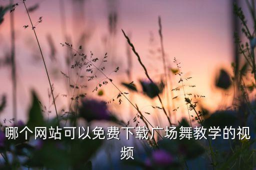 哪个网站可以免费下载广场舞教学的视频