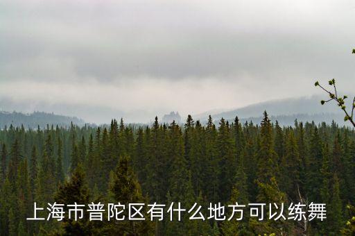 上海哪里可以练舞，上海市普陀区有什么地方可以练舞