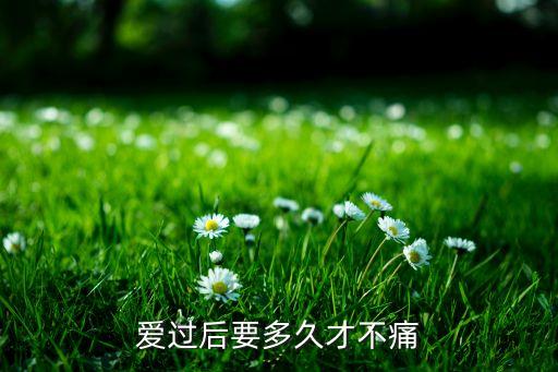 爱到多久不让我心痛，爱到多久心才会痛