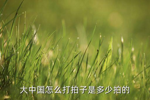 大中国怎么打拍子是多少拍的