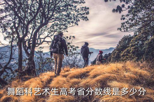 舞蹈科艺术生高考省分数线是多少分