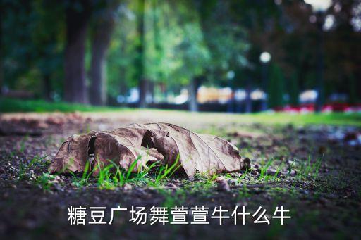 糖豆广场舞萱萱牛什么牛