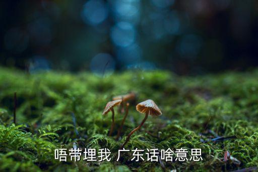 唔带埋我 广东话啥意思