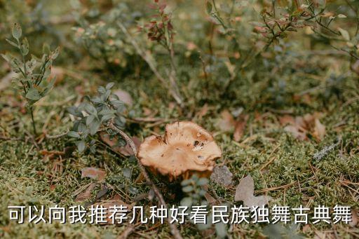 可以向我推荐几种好看民族独舞古典舞