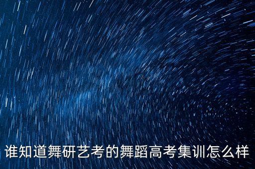 谁知道舞研艺考的舞蹈高考集训怎么样