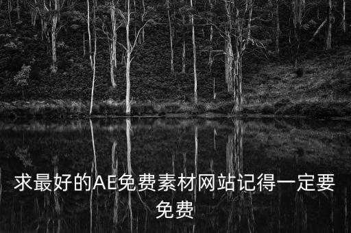 求最好的AE免费素材网站记得一定要免费