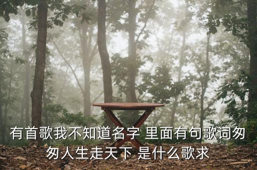 有首歌我不知道名字 里面有句歌词匆匆人生走天下 是什么歌求