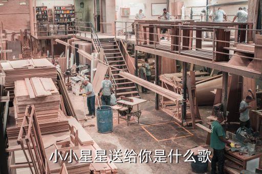 小小星星送给你是什么歌