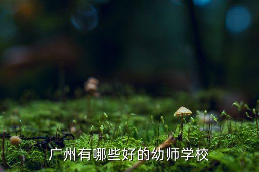 广州有哪些好的幼师学校