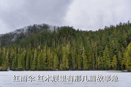 红雨伞舞蹈讲什么，红雨伞红木屐喜欢那个最故事为什么