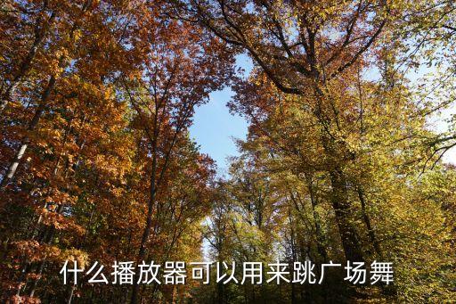 广场舞视频播放机器，什么播放器可以用来跳广场舞