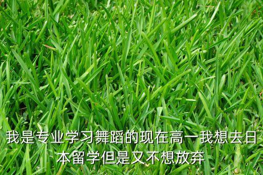 国外舞蹈有什么专业吗，我想去英国皇家舞蹈学院上学那有国标舞专业吗