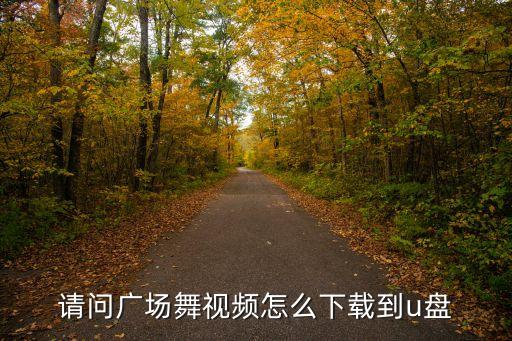 要美了美了广场舞视频怎么下载，怎么把广场舞视频用手机下载到优盘里我没有电脑