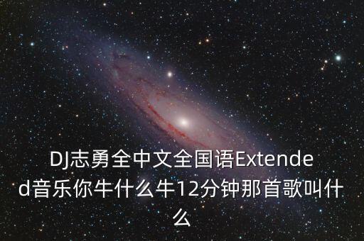 DJ志勇全中文全国语Extended音乐你牛什么牛12分钟那首歌叫什么