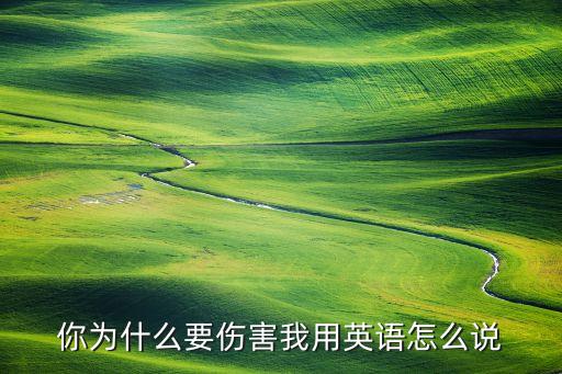 你为什么伤害我，你为啥要伤害我