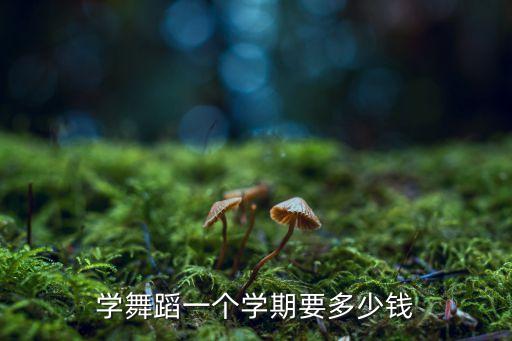学跳舞多少钱，学舞蹈一个学期要多少钱