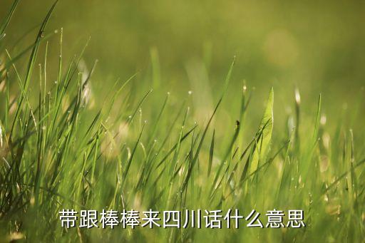 带跟棒棒来四川话什么意思