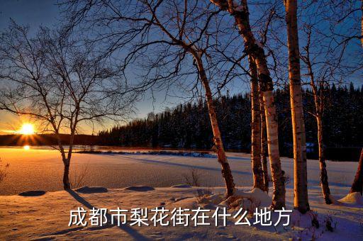 成都市梨花街在什么地方