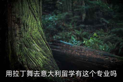 用拉丁舞去意大利留学有这个专业吗
