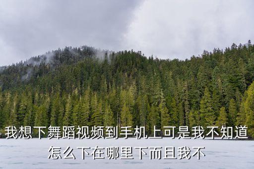 我想下舞蹈视频到手机上可是我不知道怎么下在哪里下而且我不