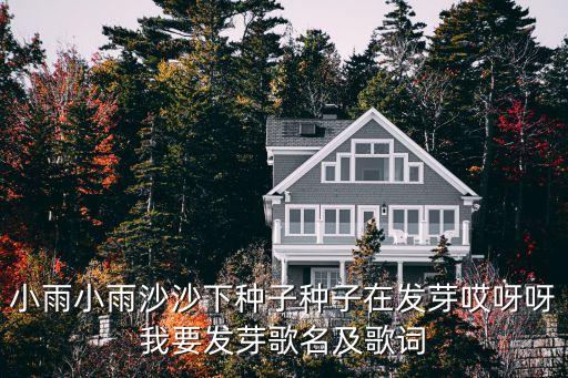 小雨小雨沙沙下种子种子在发芽哎呀呀我要发芽歌名及歌词