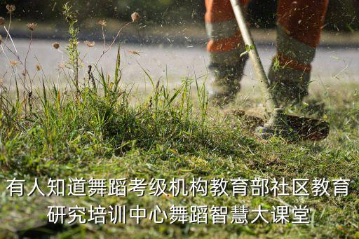 有人知道舞蹈考级机构教育部社区教育研究培训中心舞蹈智慧大课堂
