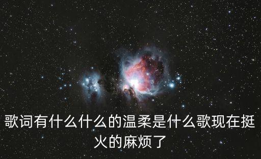 歌词有什么什么的温柔是什么歌现在挺火的麻烦了