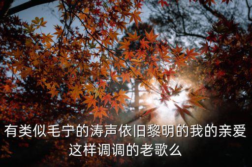 有类似毛宁的涛声依旧黎明的我的亲爱这样调调的老歌么