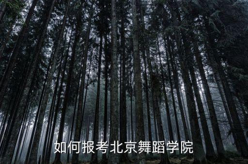 中国民族舞大学怎么进，如何报考北京舞蹈学院