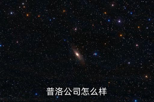 普洛公司怎么样