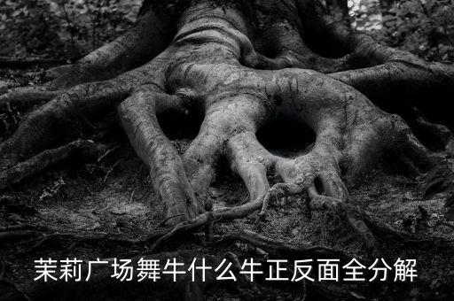 广场舞牛什么牛茉莉，糖豆广场舞萱萱牛什么牛