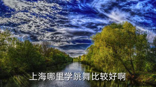 上海哪里学跳舞比较好啊