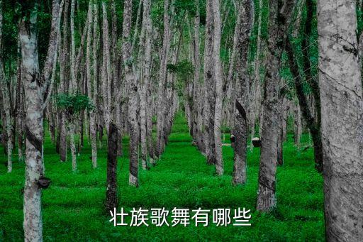 壮族歌舞有哪些