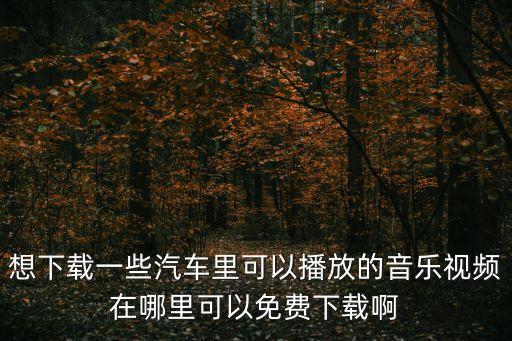 想下载一些汽车里可以播放的音乐视频在哪里可以免费下载啊