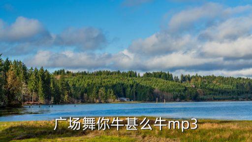 广场舞你牛甚么牛mp3
