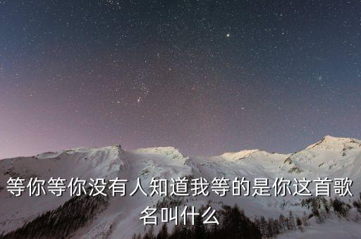 等你等你没有人知道我等的是你这首歌名叫什么