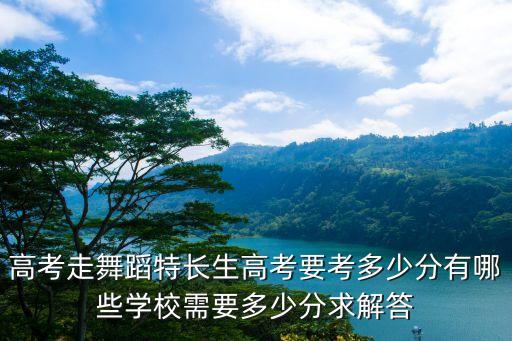 高考走舞蹈特长生高考要考多少分有哪些学校需要多少分求解答
