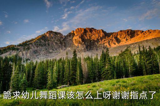 跪求幼儿舞蹈课该怎么上呀谢谢指点了