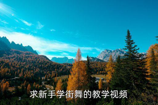 求新手学街舞的教学视频