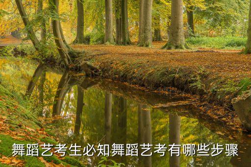 舞蹈艺考生必知舞蹈艺考有哪些步骤