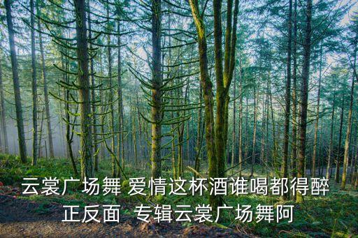 2o2l年广场舞，云裳广场舞 爱情这杯酒谁喝都得醉 正反面  专辑云裳广场舞阿