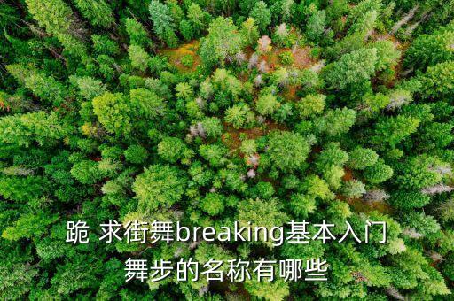 跪 求街舞breaking基本入门舞步的名称有哪些