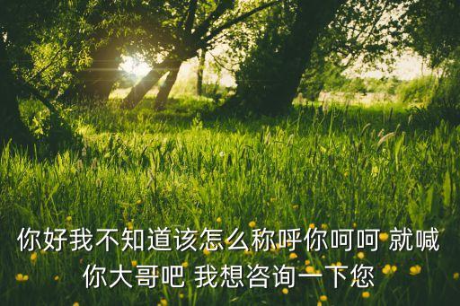 你好我不知道该怎么称呼你呵呵 就喊你大哥吧 我想咨询一下您