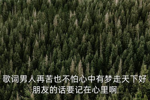 歌词男人再苦也不怕心中有梦走天下好朋友的话要记在心里啊