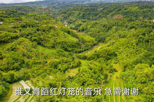 谁又舞蹈红灯笼的音乐 急需谢谢