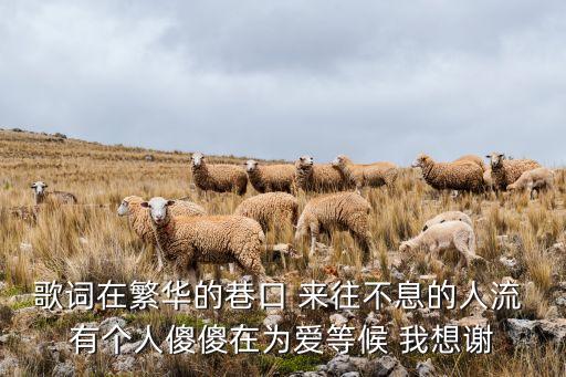 歌词在繁华的巷口 来往不息的人流 有个人傻傻在为爱等候 我想谢