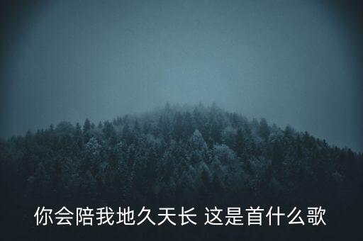 你会陪我地久天长 这是首什么歌